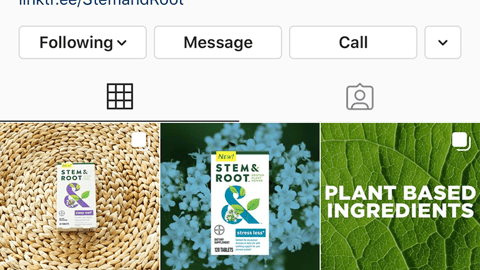 Stem & Root Instagram Page